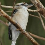 69969开奖直播全程高清实时放送 r7fu7a