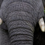 NBA全明星赛高清直播视频全程回放 2g2qc