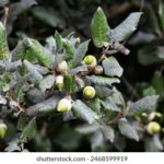 NBA勇士对快船巅峰对决直播,见证库里与伦纳德强强对话 b86zxmk